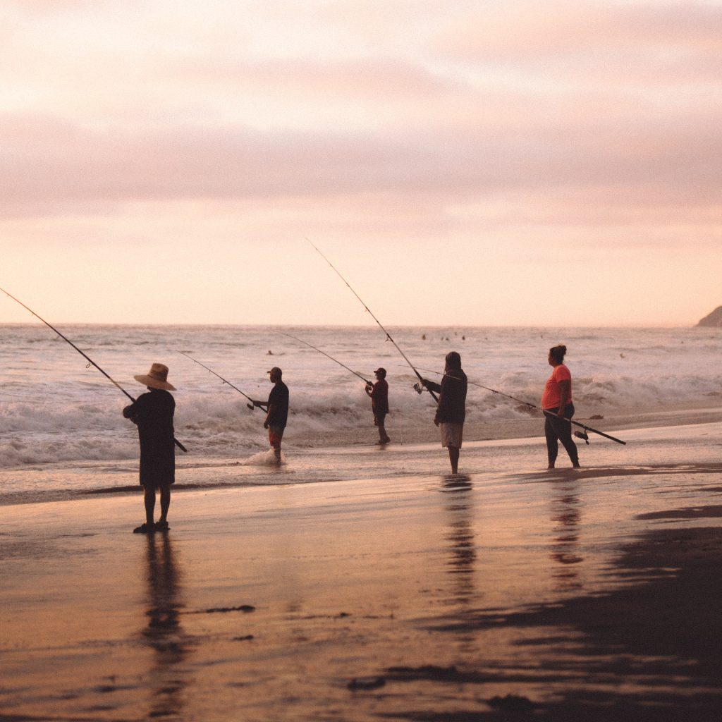 Beach Fishing Tips | Land Based Anglers | Land Fishing (8)