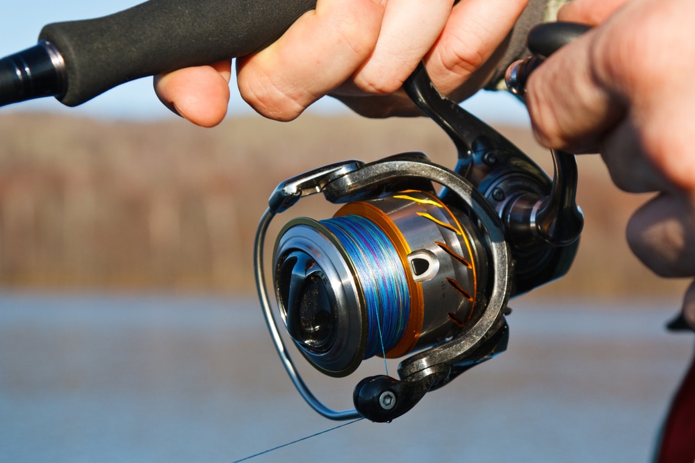 Best Beach Fishing Reels | Land Based Anglers (1)