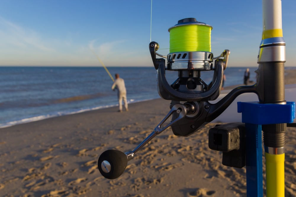 Best Beach Fishing Reels | Land Based Anglers (2)