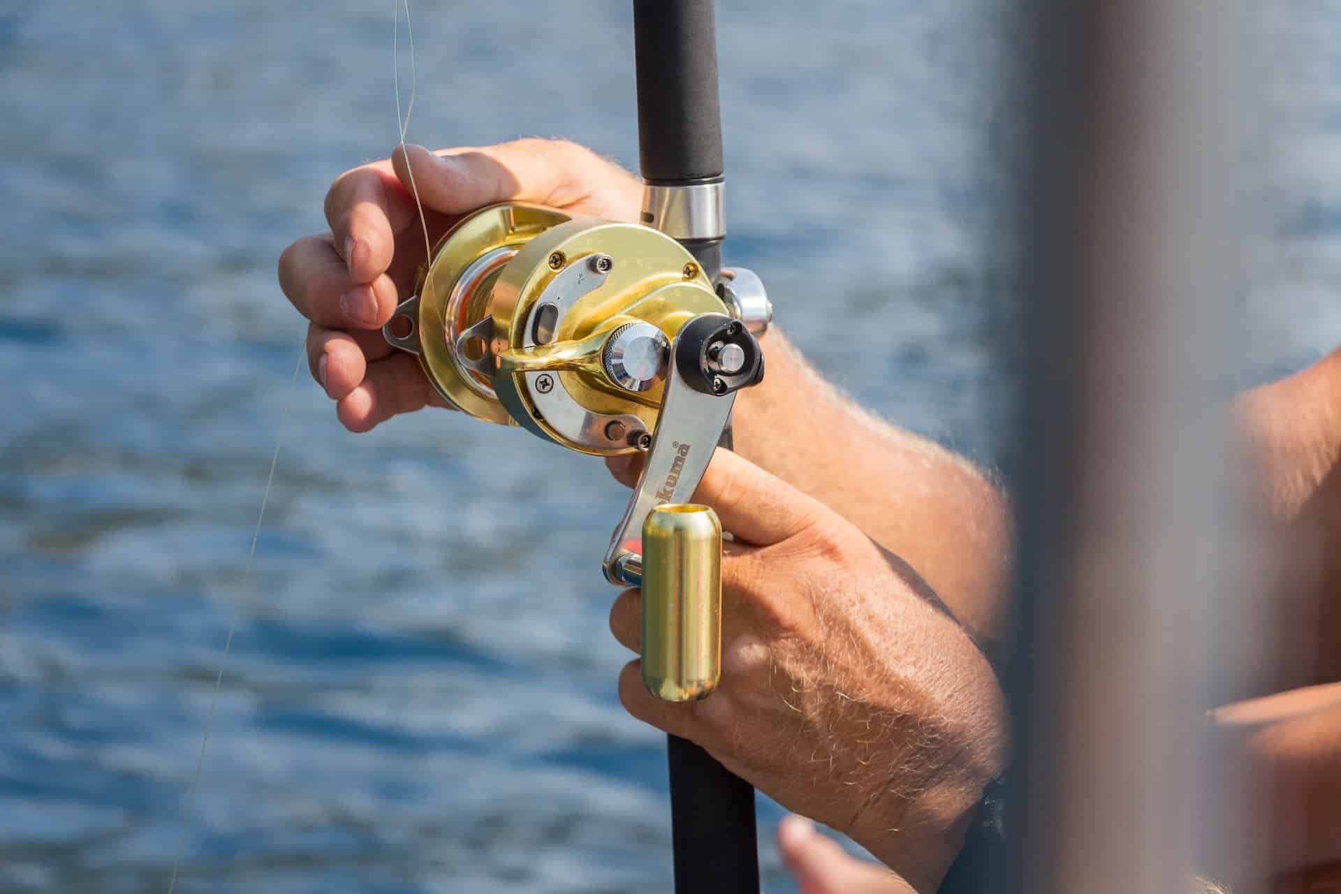 Best Beach Fishing Reels | Land Based Anglers (5)