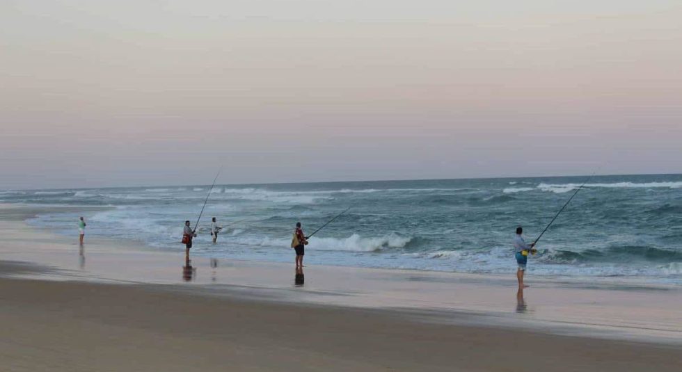 Best Beach Fishing Rod In 2023 | #1 Ultimate Guide