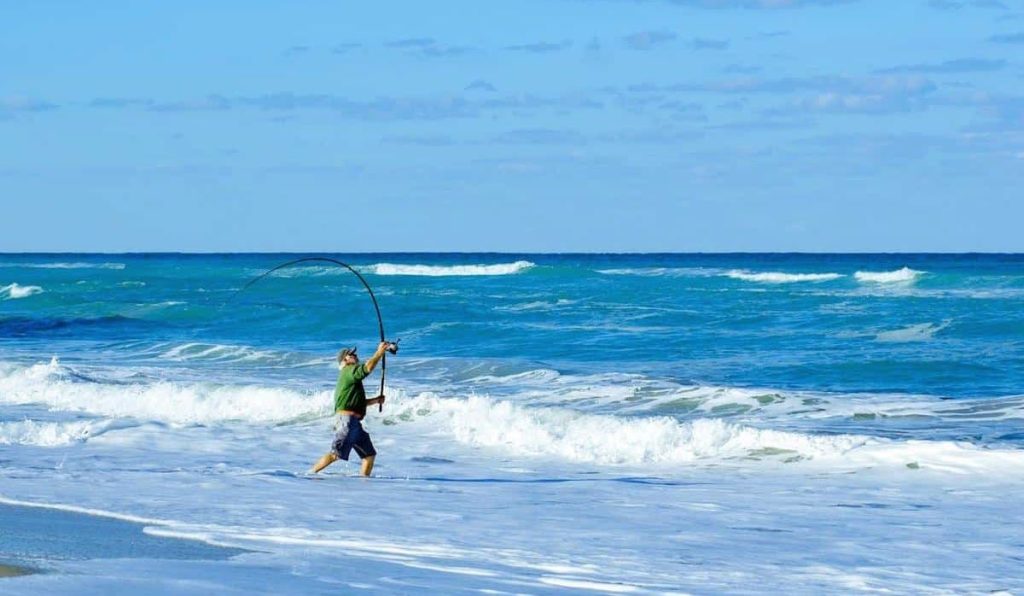 Best Beach Fishing Rod | Best Surf Rod | LandBasedAnglers.com - (20)