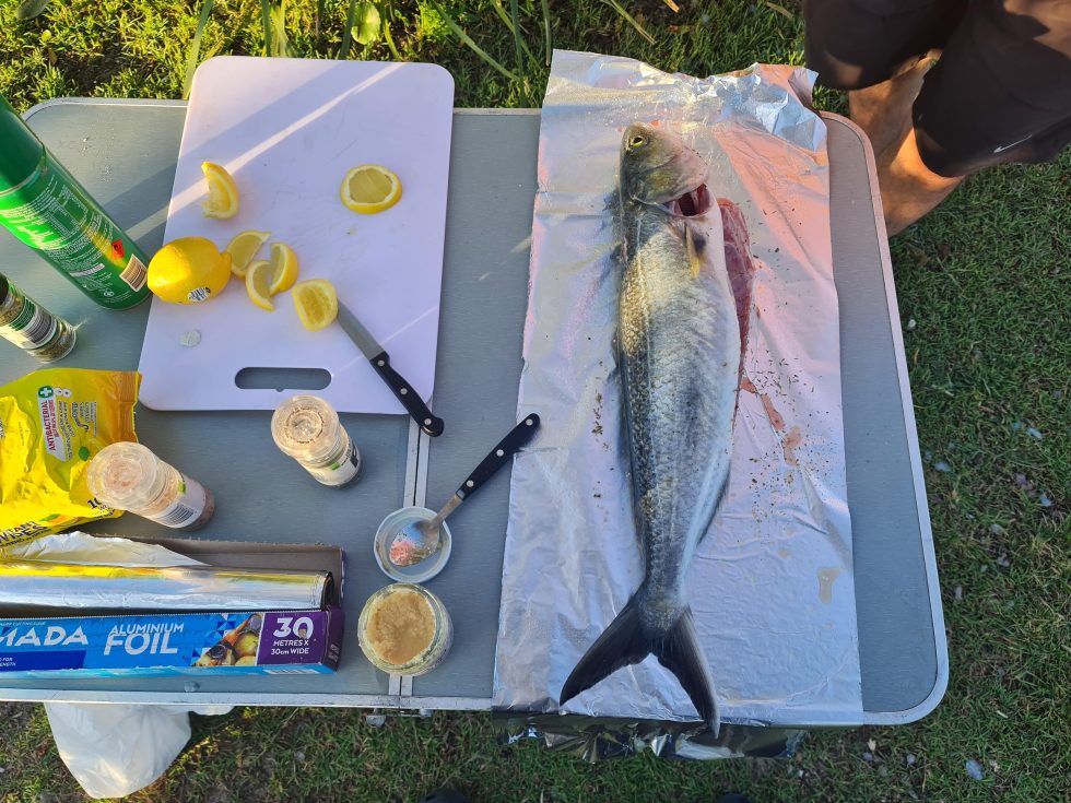 How To Catch Australian Salmon 1 Easy Guide For Beginners