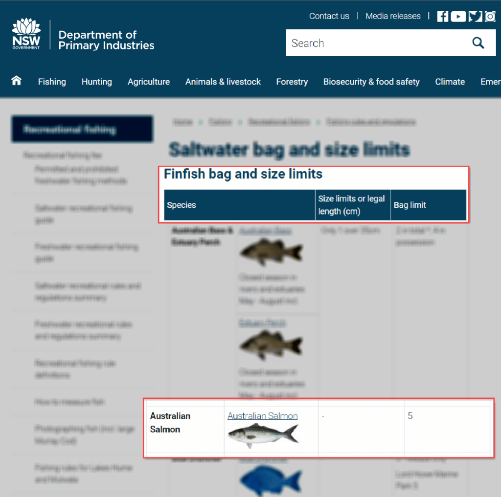 How To Catch Australian Salmon (Arripis trutta) | Land Based Anglers | Land Based Fishing (2)