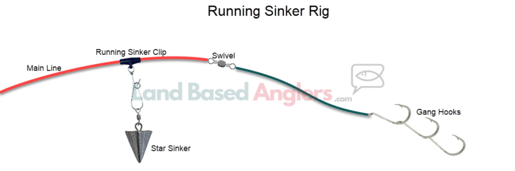 Running Sinker Rig | How To Catch Australian Salmon (Arripis trutta) | Land Based Anglers | Land Based Fishing (3)