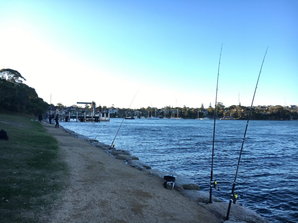 Best Fishing Spots Sydney NSW | LandBasedAnglers.com