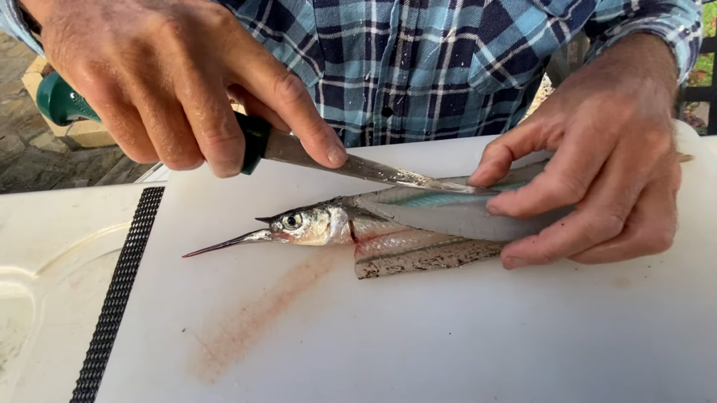 How To Catch Garfish | LandBasedAnglers (11)