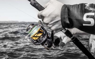 Shimano Stella SW Review 2023: Discover the Truth and Make a Wise Purchase