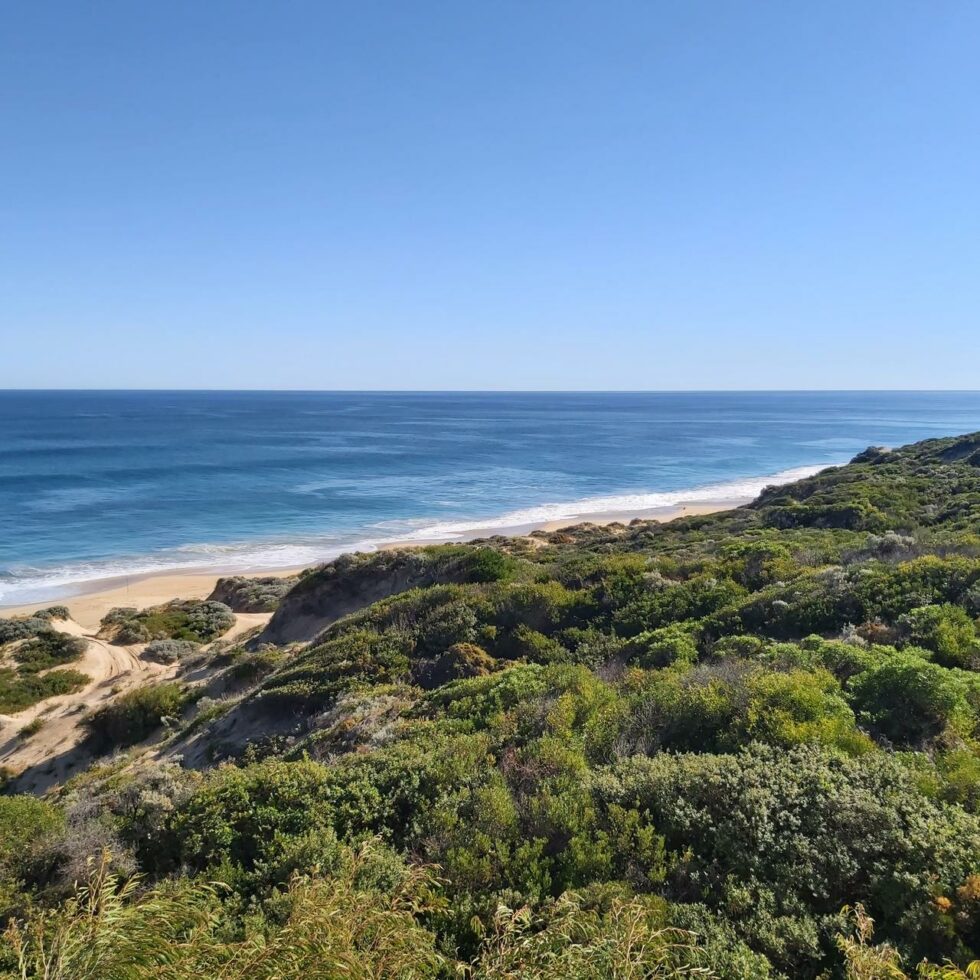 Explore The Top 18 Best Fishing Spots Perth Has To Offer