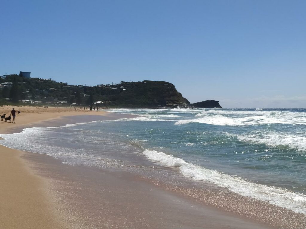 Avoca Beach 2 - Best Beach Fishing Spots Central Coast NSW