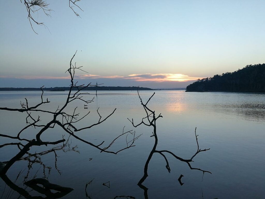 Budgewoi Lake 2 - Best Fishing Spots Central Coast NSW - LandBasedAnglers.com