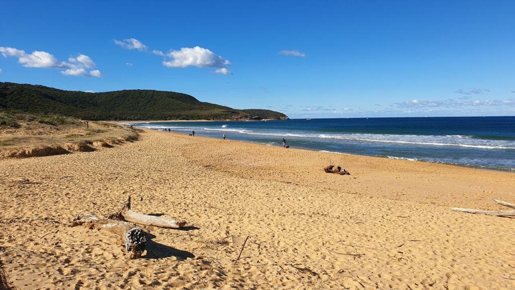 Killcare Beach - Best Beach Fishing Spots Central Coast NSW