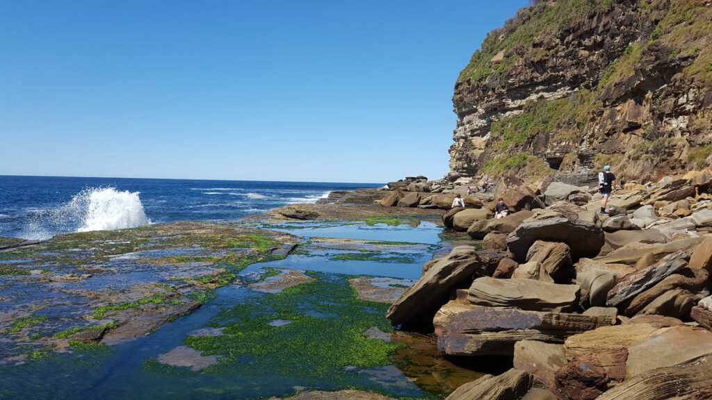 Macmasters Beach - Best Beach Fishing Spots Central Coast NSW
