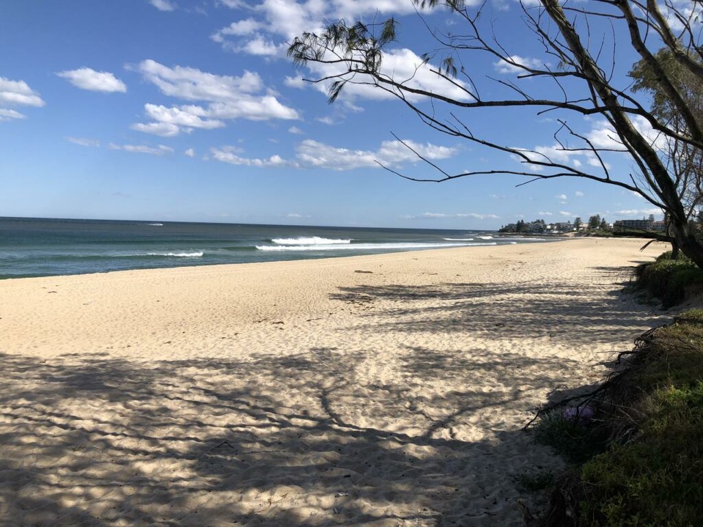 The Entrance Beach - Best Beach Fishing Spots Central Coast NSW