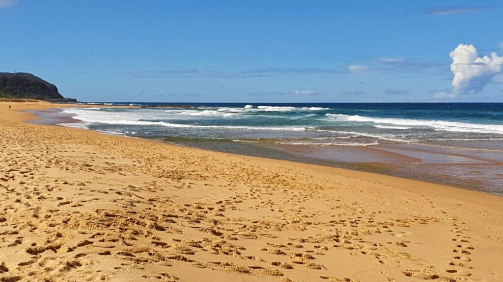 Wamberal Beach - Best Beach Fishing Spots Central Coast NSW