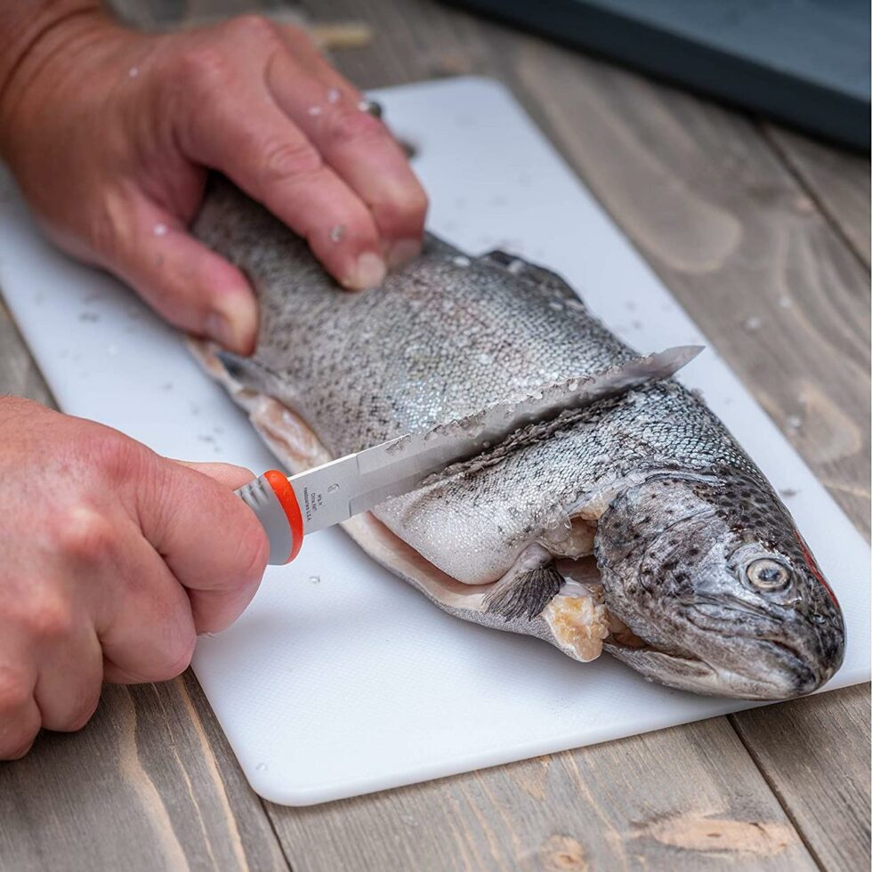Best Fillet Knife 10 Top Choices For Effortless Fish Cleaning