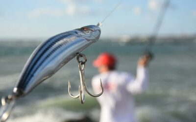 Kingfish Lures 2023: Your Key To A Successful Fishing Season