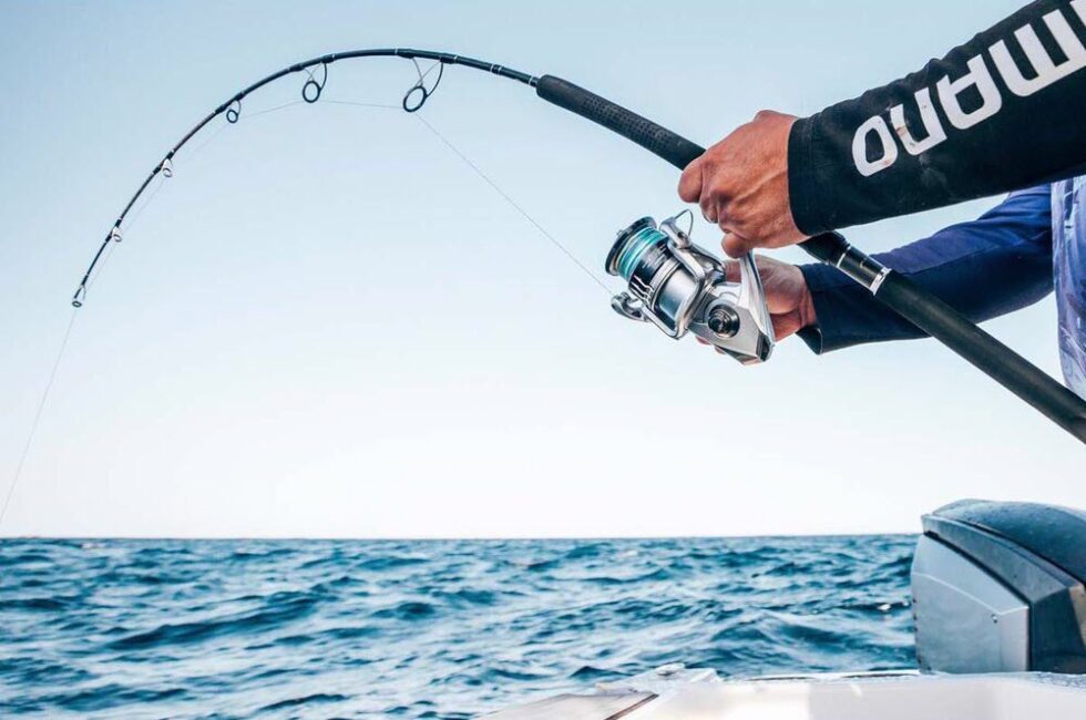 How To Catch Bonito: 13 Amazing Tips From Master Anglers